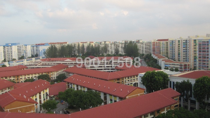 Blk 493A Tampines Avenue 9 (Tampines), HDB 5 Rooms #47882